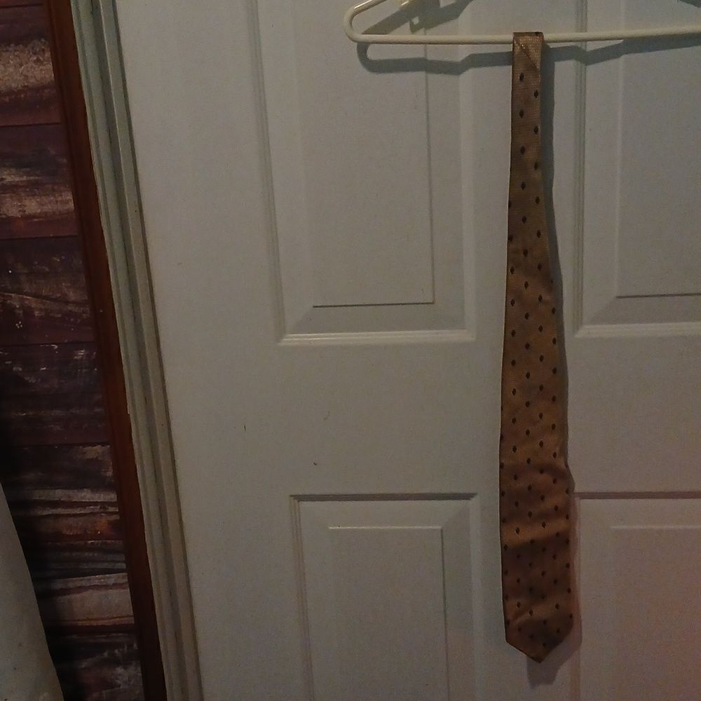Men's Italuan Silk Tie
